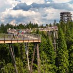 Najpopulárnejšia moderná stavba na Slovensku – Chodník korunami stromov