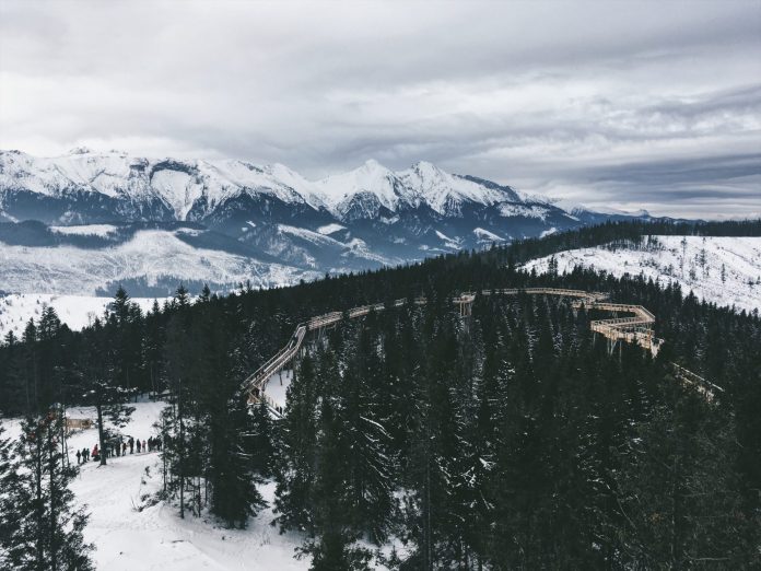 Chodník korunami stromov -Vysoké Tatry caro-dreva-dreveny-chodnik-korunami-stromov-pohlad-z-hora-v-bachledovej-vysoke-tatry