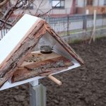 Vyrobte si dve netradičné vtáčie kŕmidlá drevo-krmidlo-vtaky-zahrada-strom-zemina