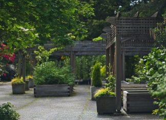 Proti šedi na drevených stavbách – ako zabrániť zosiveniu dreva? zahrada-pristresok-drevena-pergola-kvety-stromy-moderny-dizajn