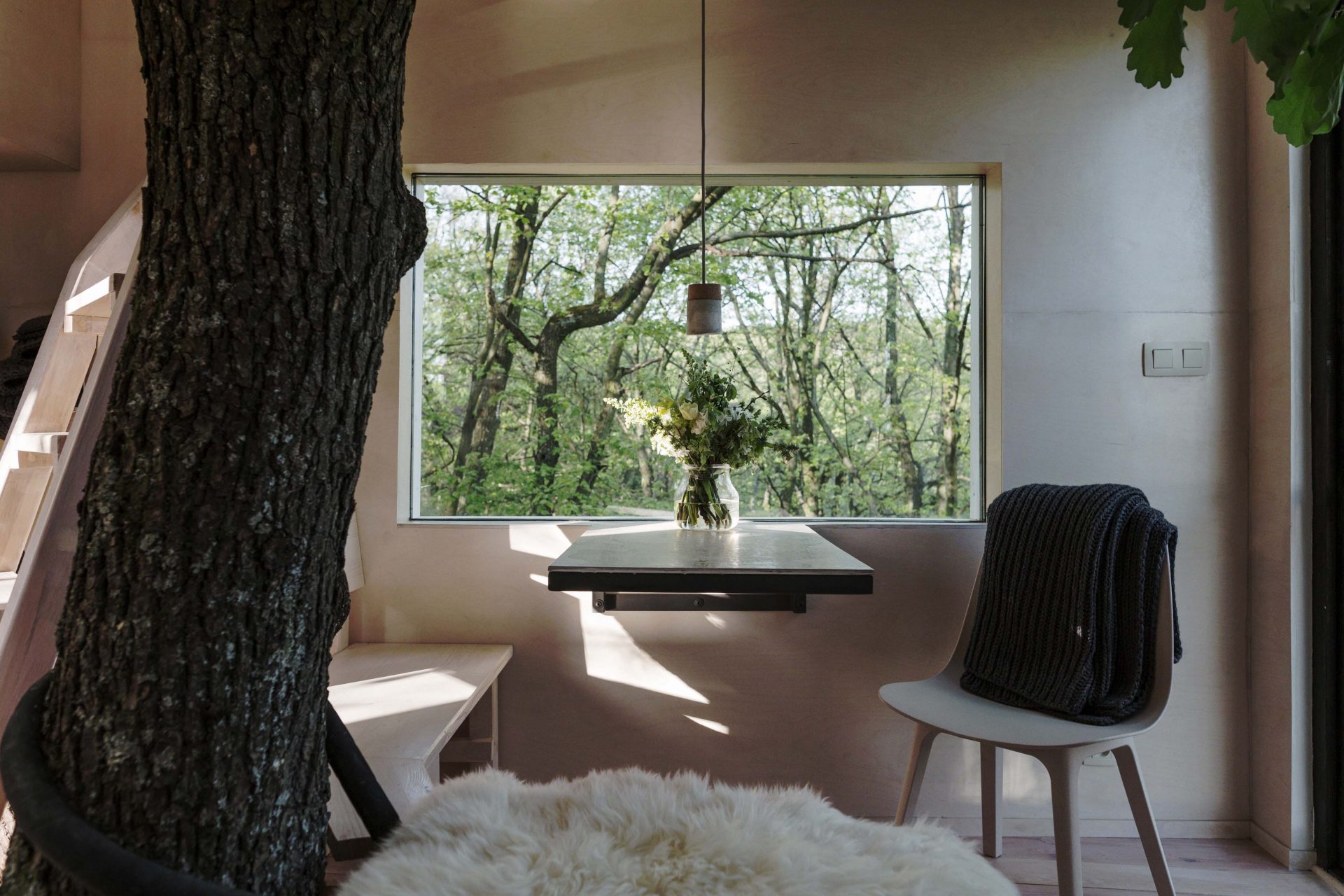 interier-byvanie-drevo-strom-stolicka-stol-kvetiny-priroda