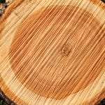 Čerešňové drevo skrášli nádhernou kresbou každý interiér drevo-čerešňa