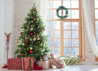 Živý alebo umelý vianočný stromček? vianočný stromček, živý, umelý (3)