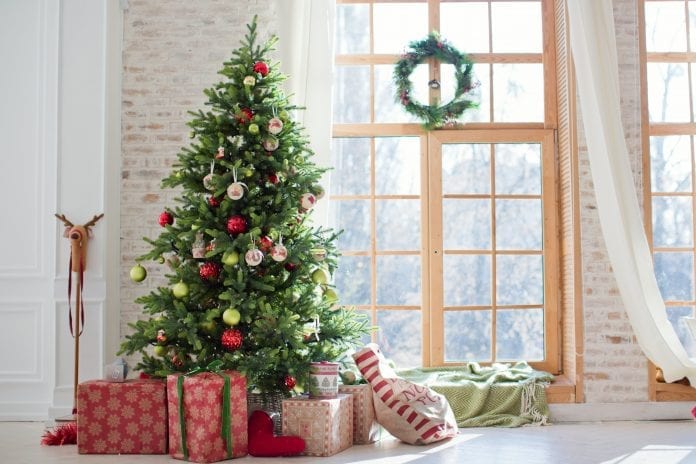 vianočný stromček, živý, umelý (3)