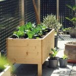 Prečo si zaobstarať vyvýšené záhony? vyvýšené drevené záhony, drevený záhon, dreveny zahon na bylinky