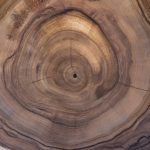 Orechové drevo – spoznajte jeho plusy aj mínusy