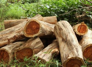 Palisandrové drevo pekne vyzerá aj krásne znie