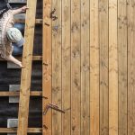 Jedľové drevo: v obľube u nábytkárov i stavebníkov