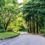 Arboréta a botanické záhrady plné krásnych druhov drevín