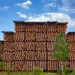 Ako správne sušiť drevo a prečo je to dôležité?