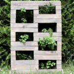 Krok za krokom: ako si vyrobiť bylinkovú záhradku z paliet Krok za krokom: ako si vyrobiť bylinkovú záhradku z paliet