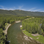 Sibírske drevo – čím sa vyznačuje a ktoré to je? Sibírske drevo – čím sa vyznačuje a ktoré to je