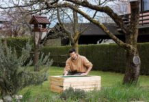 Ako vyrobiť vyvýšený záhon do záhrady z drevených paliet Ako vyrobiť vyvýšený záhon do záhrady z drevených paliet